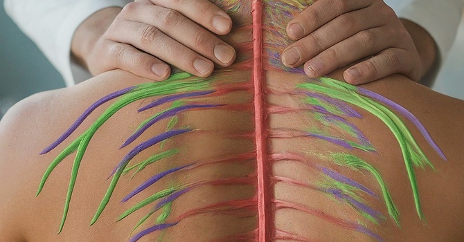 What Is Chiropractic Care and How Does It Help the Body Function?