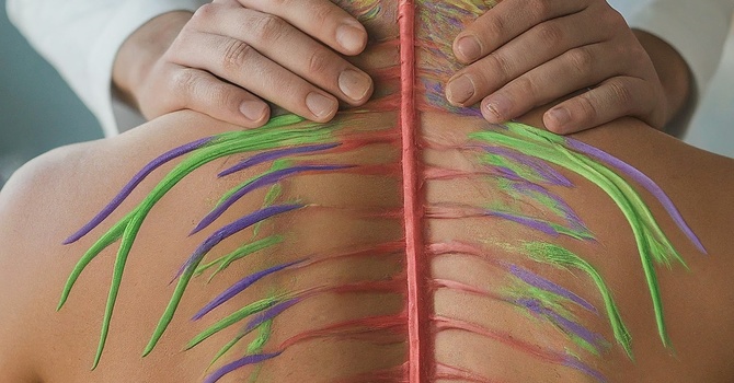 What Is Chiropractic Care and How Does It Help the Body Function? image