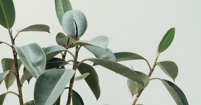 What Is Chiropractic Care and How Does It Help the Body Function?